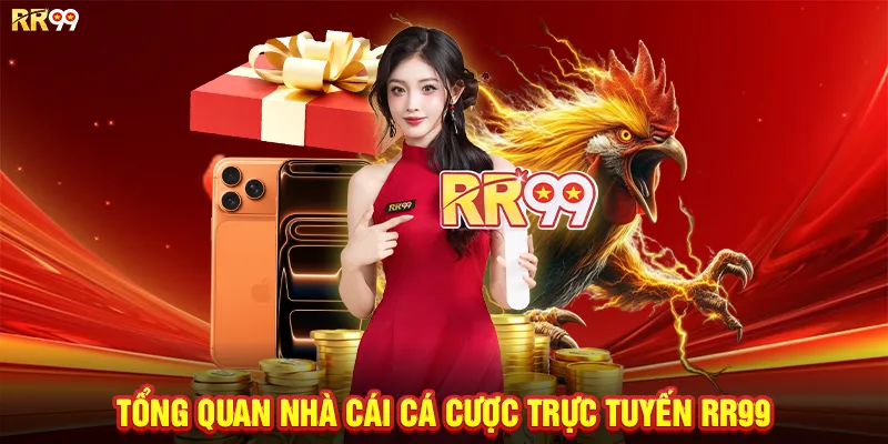 Tổng quan nhà cái cá cược trực tuyến RR99